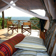 Uganda-Uganda-Lake Mburo Wildlife Horse Safari